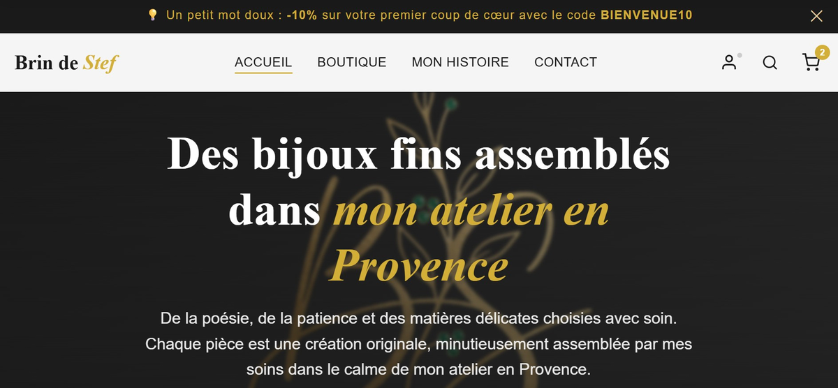 Page d'accueil de la boutique Brin de Stef