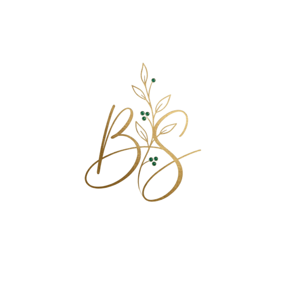 Logo Brin de Stef