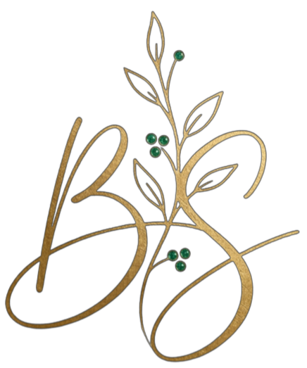 Logo Brin de Stef